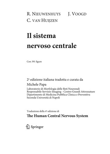 Il sistema nervoso centrale