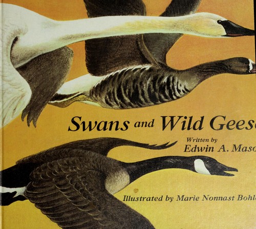 Swans and wild geese