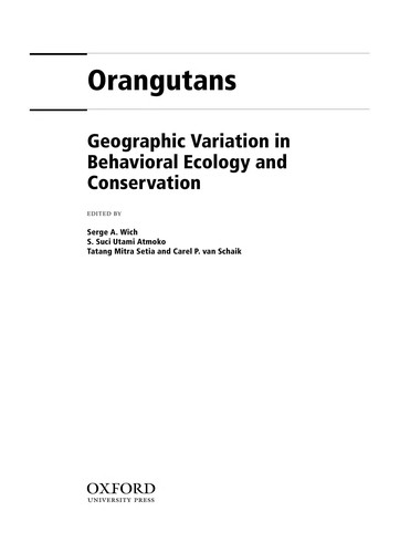 Orangutans