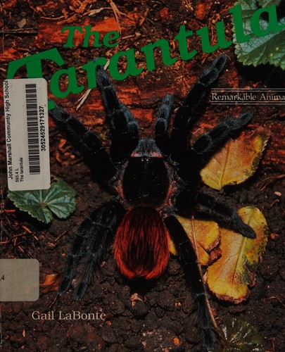 The tarantula