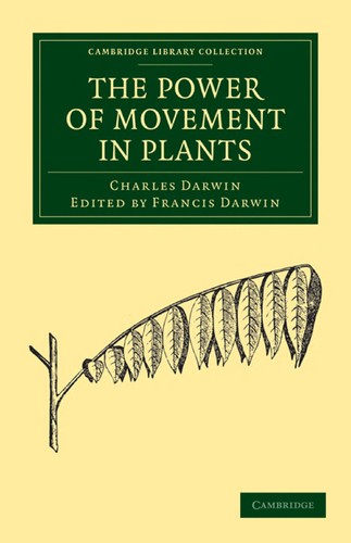 The power of movement in plants