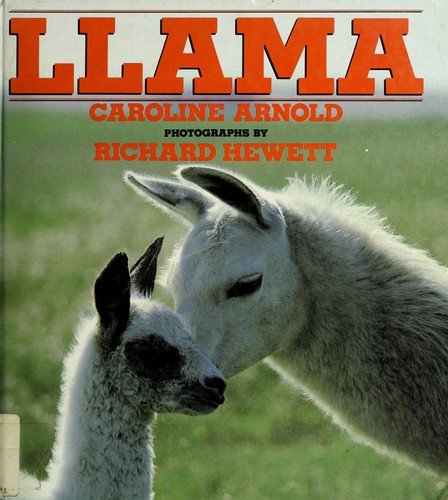 Llama