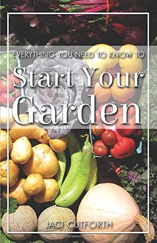 Everything You Need to Know