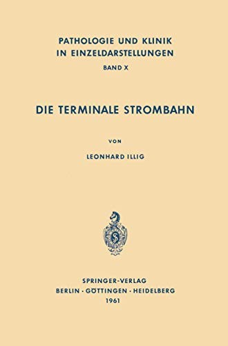 Die terminale Strombahn