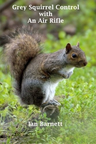 Grey Squirrel Control