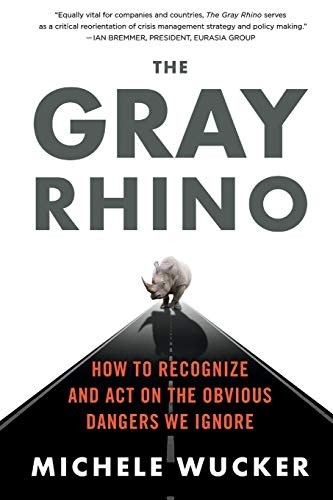 THE GRAY RHINO