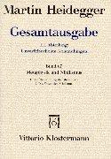 Gesamtausgabe, Ln, Bd.67, Metaphysik und Nihilismus