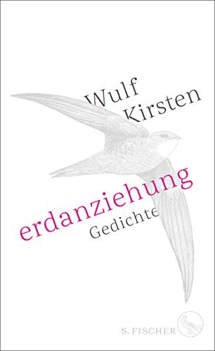 Erdanziehung