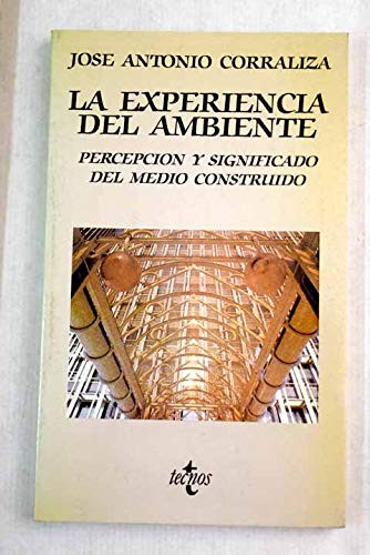 La experiencia del ambiente