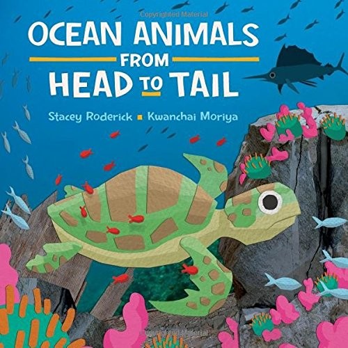 Ocean Animals from Head to Tail