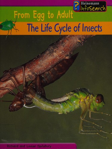 The life cycle of insects