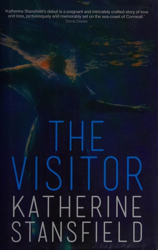 The visitor