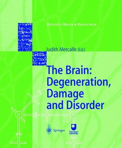 The brain
