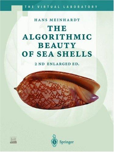 The algorithmic beauty of sea shells