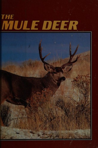 The mule deer