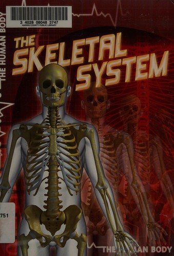 The skeletal system