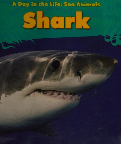 Shark