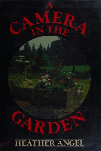 A camera in the garden