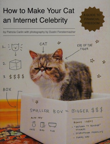 How to make your cat an internet celebrity