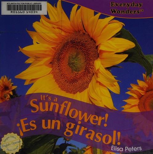 It's a sunflower!