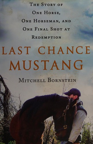Last chance mustang