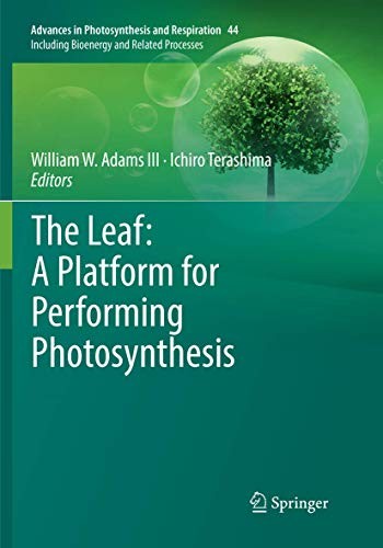 The Leaf