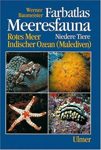 Farbatlas Meeresfauna, 2 Bde., Bd.1, Niedere Tiere
