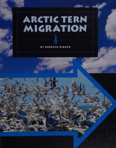 Arctic tern migration