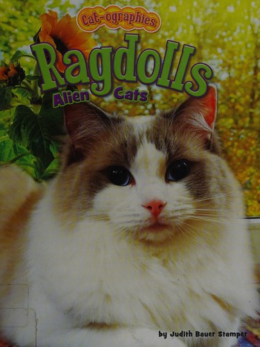 Ragdolls
