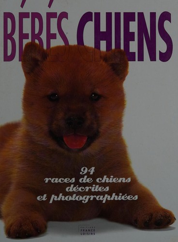 Bébés chiens
