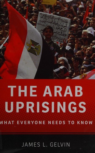 The Arab uprisings