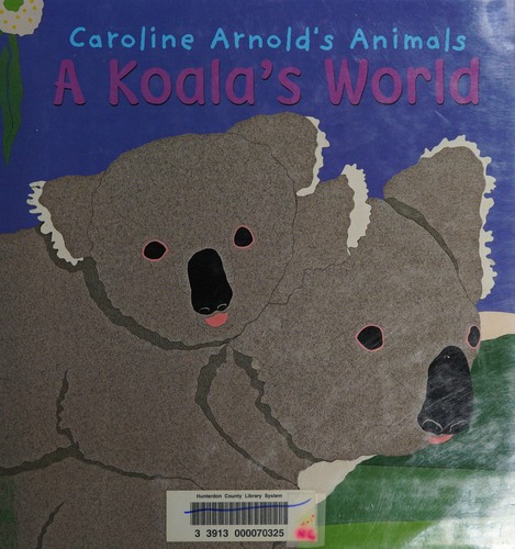 A koala's world