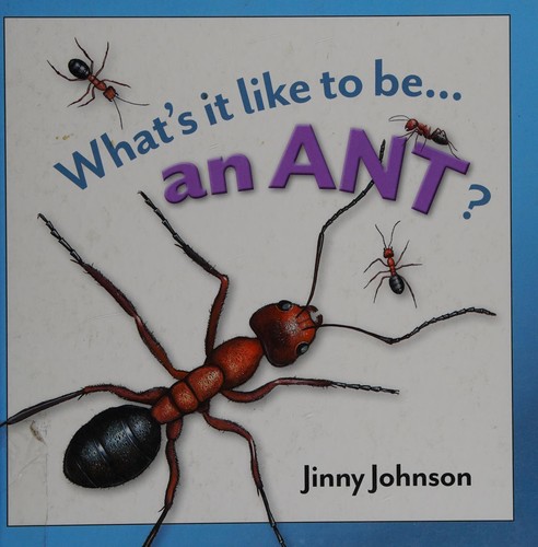 An ant?