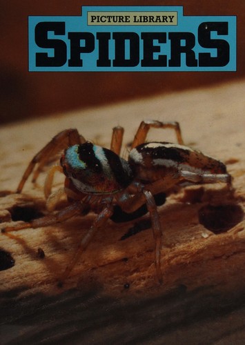 Spiders