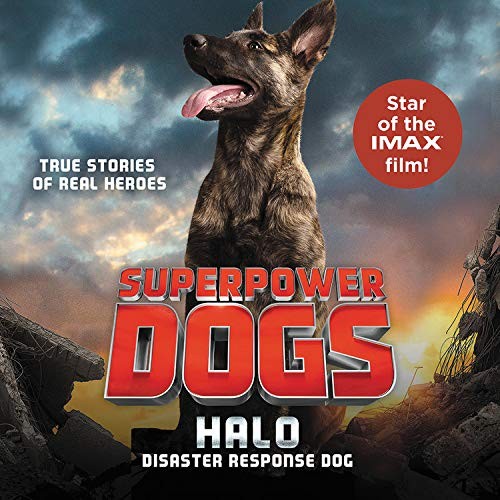 Halo : Disaster Response Dog