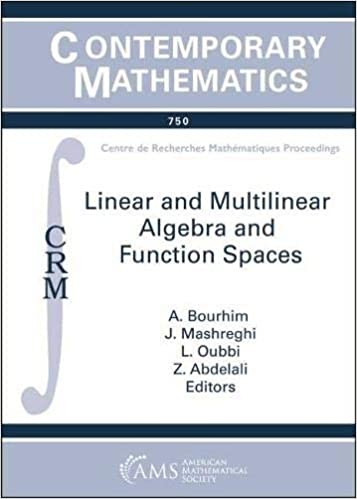 Linear And Multilinear Algebra And Function Spaces