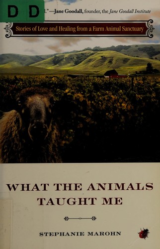 What the animals taught me