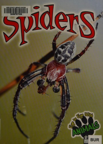 Spiders