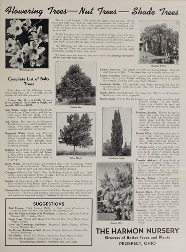 [Harmon Nursery tree, rose, shrub and vine trade circular and price list]