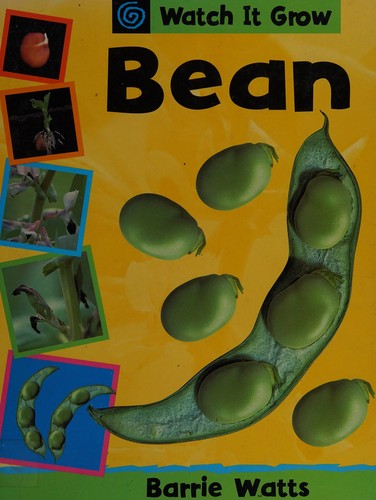 Bean