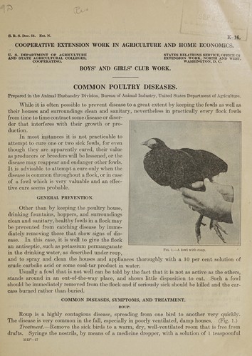 Common poultry diseases