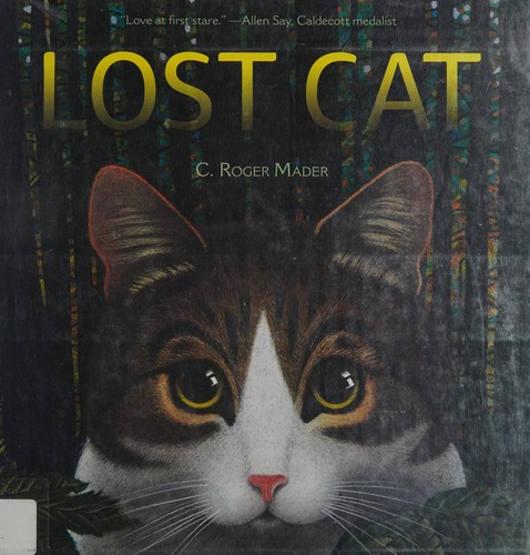 Lost cat