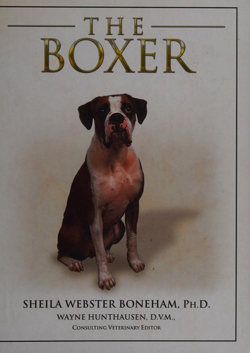 The Boxer