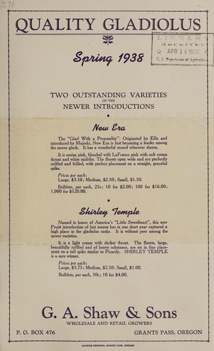 Quality gladiolus, spring 1938