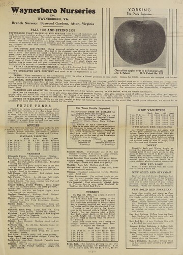 Fall 1938 and spring 1939