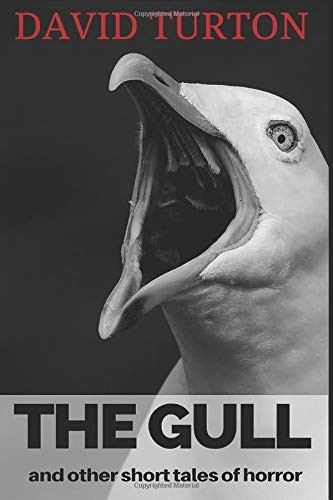 The Gull