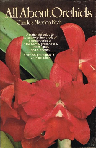 All about orchids