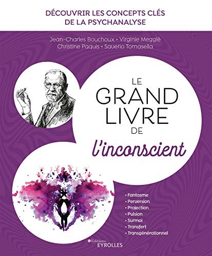 Le grand livre de l'inconscient : Découvrir les concepts clés de la psychanalyse