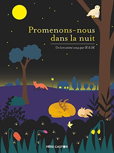 Promenons-nous dans la nuit