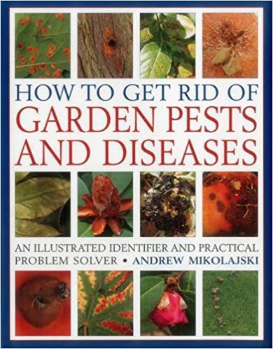 How to Get Rid of Garden Pests and Diseases
